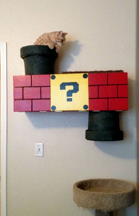 Mario Bro Cat Climber