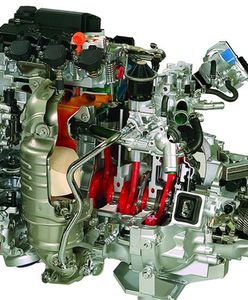 Ile kosztują konie mechaniczne