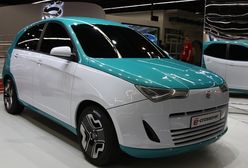 Ceny rosyjskiej hybrydy