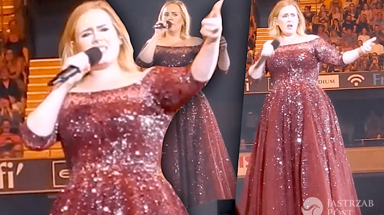 Adele przerwała koncert przez ochroniarza