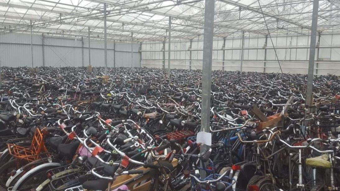 W magazynie pod Rotterdamem czekają tysiące używanych rowerów. Do tej pory trafiały one głównie do Azji