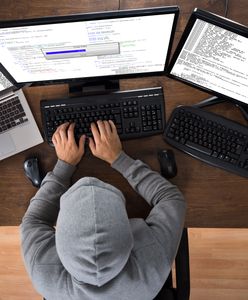 Holendrzy zdobyli kluczowe informacje o rosyjskim wywiadzie? Hakerzy zhakowali hakerów