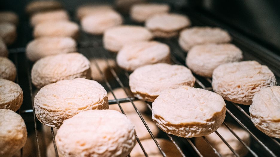 Picodon to niewielki kozi ser z apelacją produkowany jedynie w Prowansji