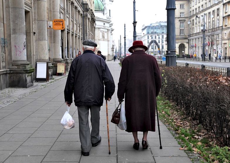 Babcia+. Seniorzy nie oczekują wsparcia, ale chętnie pomagają wnukom