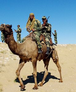 Pakistan przerzuca tysiące żołnierzy na granicę z Indiami