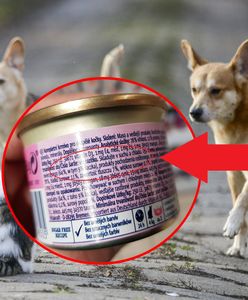 W karmach dla zwierząt jest więcej mięsa, niż w konserwach dla ludzi. Zaskakujące porównanie