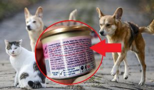 W karmach dla zwierząt jest więcej mięsa, niż w konserwach dla ludzi. Zaskakujące porównanie