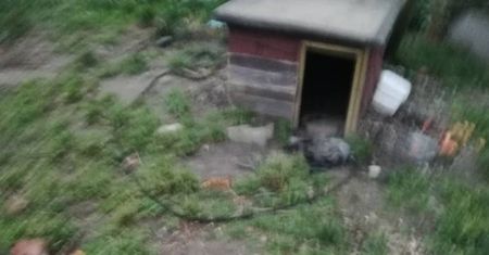 Głodził psa, zgłosili go. Kilka dni później zwierzę zaginęło