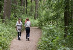 Ewakuacja dzieci z obozu harcerskiego