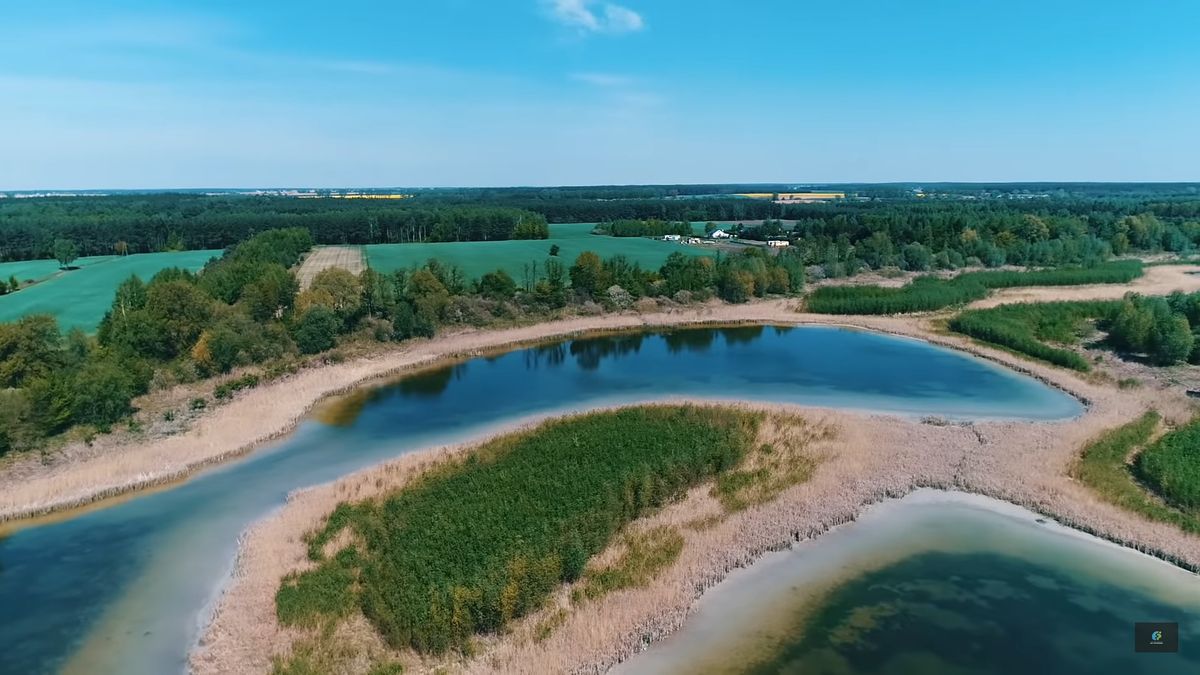Tak dziś wygląda jezioro Wilczyńskie.