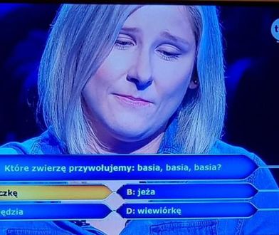 W "Milionerach" znów wesoło. Uczestniczka odpadła na banalnym pytaniu