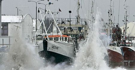 Saperzy kontra zima - pierwsza taka operacja w Ustce