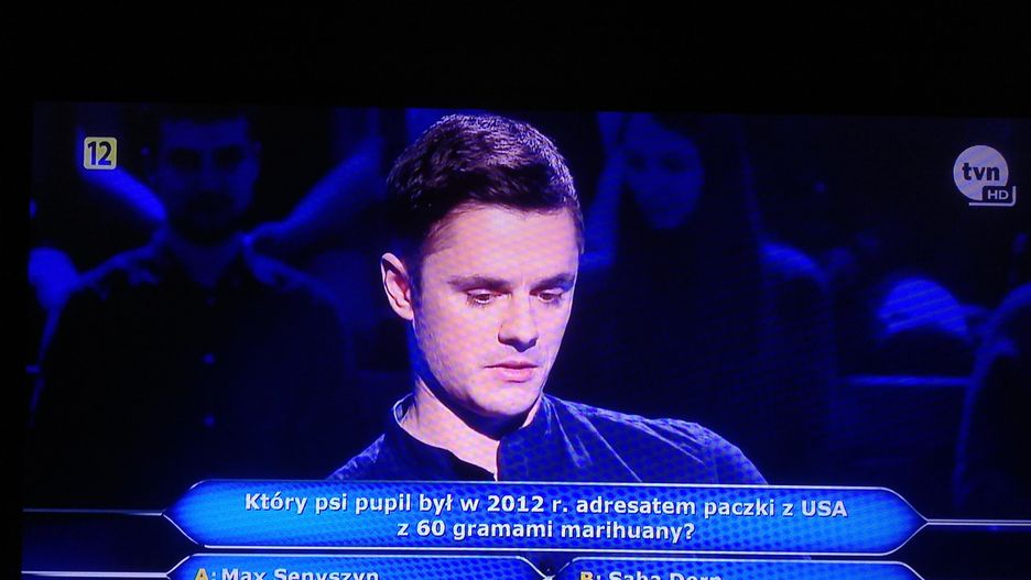 Tomasz Majchrzak podczas gry w "Milionerach"