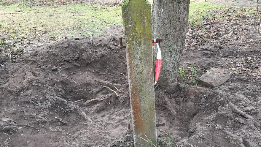 Szczątki dzieci śledczy znaleźli w pobliżu domu pary w Ciecierzynie