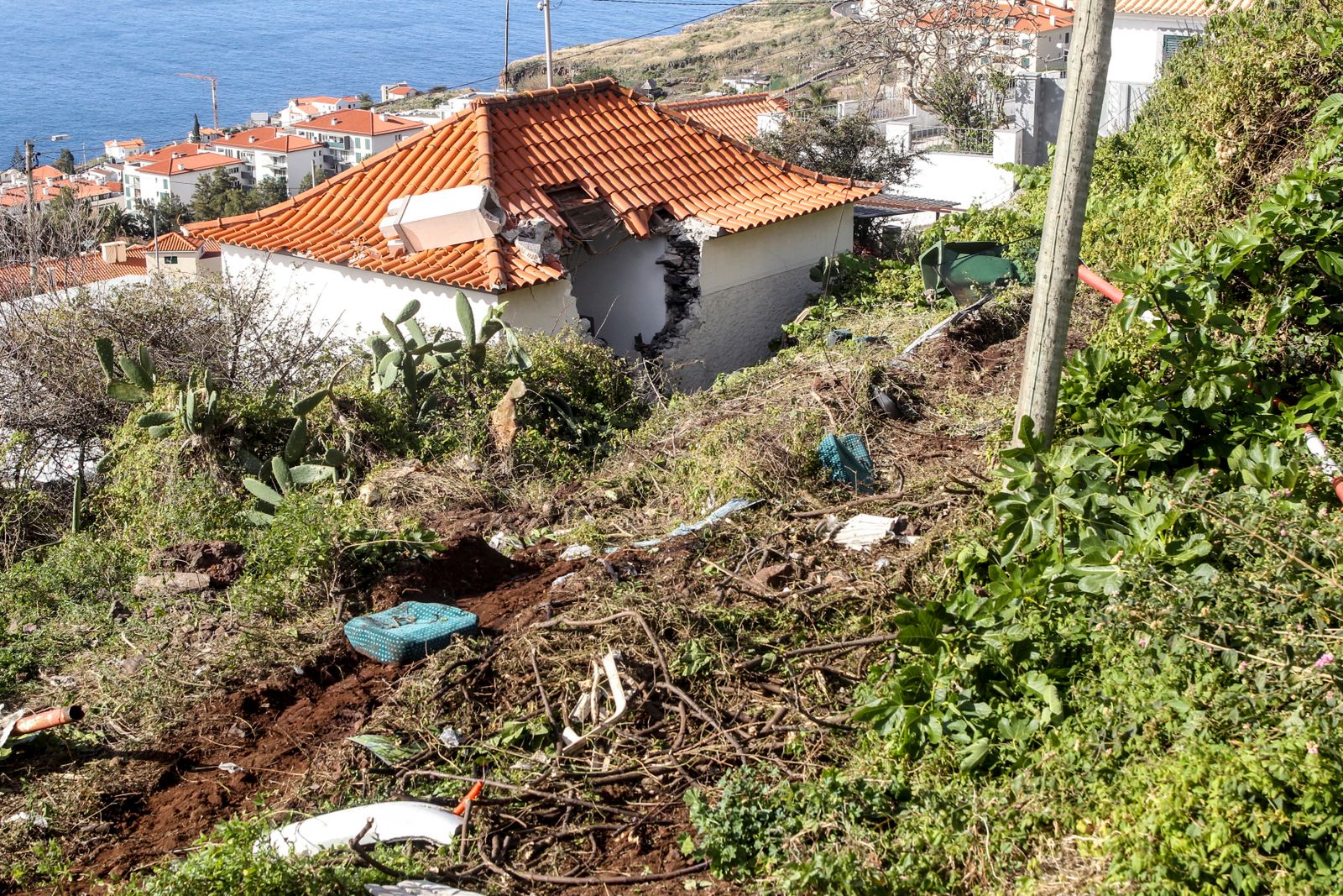 Madera: autokar spadł ze skarpy i wbił się w stojący poniżej budynek
