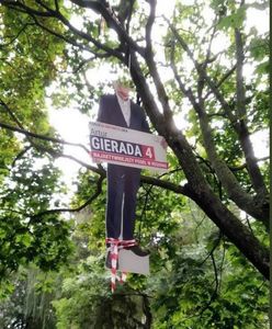 Powiesili na drzewie wizerunek Artura Gierady z PO. Policja zatrzymała dwóch mężczyzn