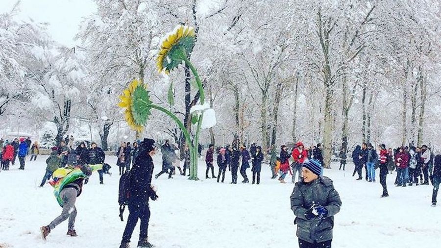 Iran pokryła gruba warstwa śniegu