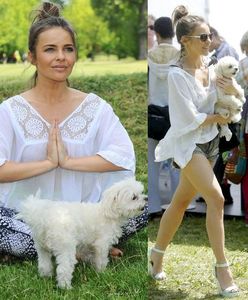 Edyta Herbuś promuje jogę. Ale ma nogi!