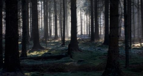 Las samobójców