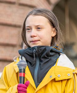 Greta Thunberg zamieszcza wezwanie. Na celowniku duży koncern z Niemiec