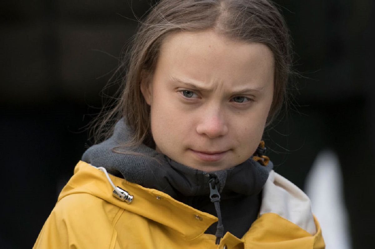Greta Thunberg zaatakowała. Stanowcza odpowiedź polityka