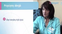 Dlaczego chorujemy na alergię? - abcZdrowie