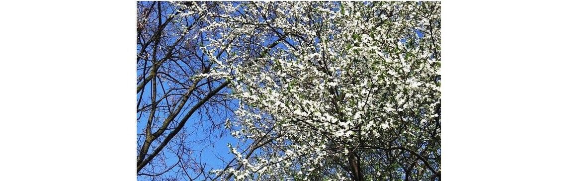 Jak sobie radzić z alergią?