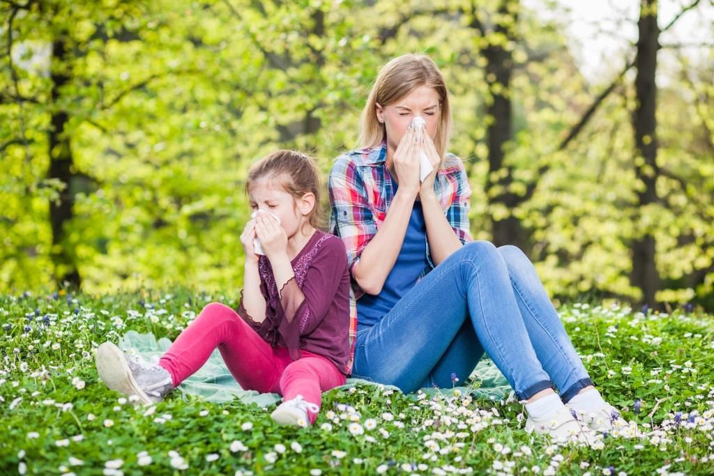 Wiosenne alergie – co kiedy pyli i jak przygotować się na okres pyleń?