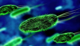 Superbakterie zabijają w Polsce ponad dwa tysiące osób rocznie. Na walkę z nimi potrzeba będzie miliardów złotych