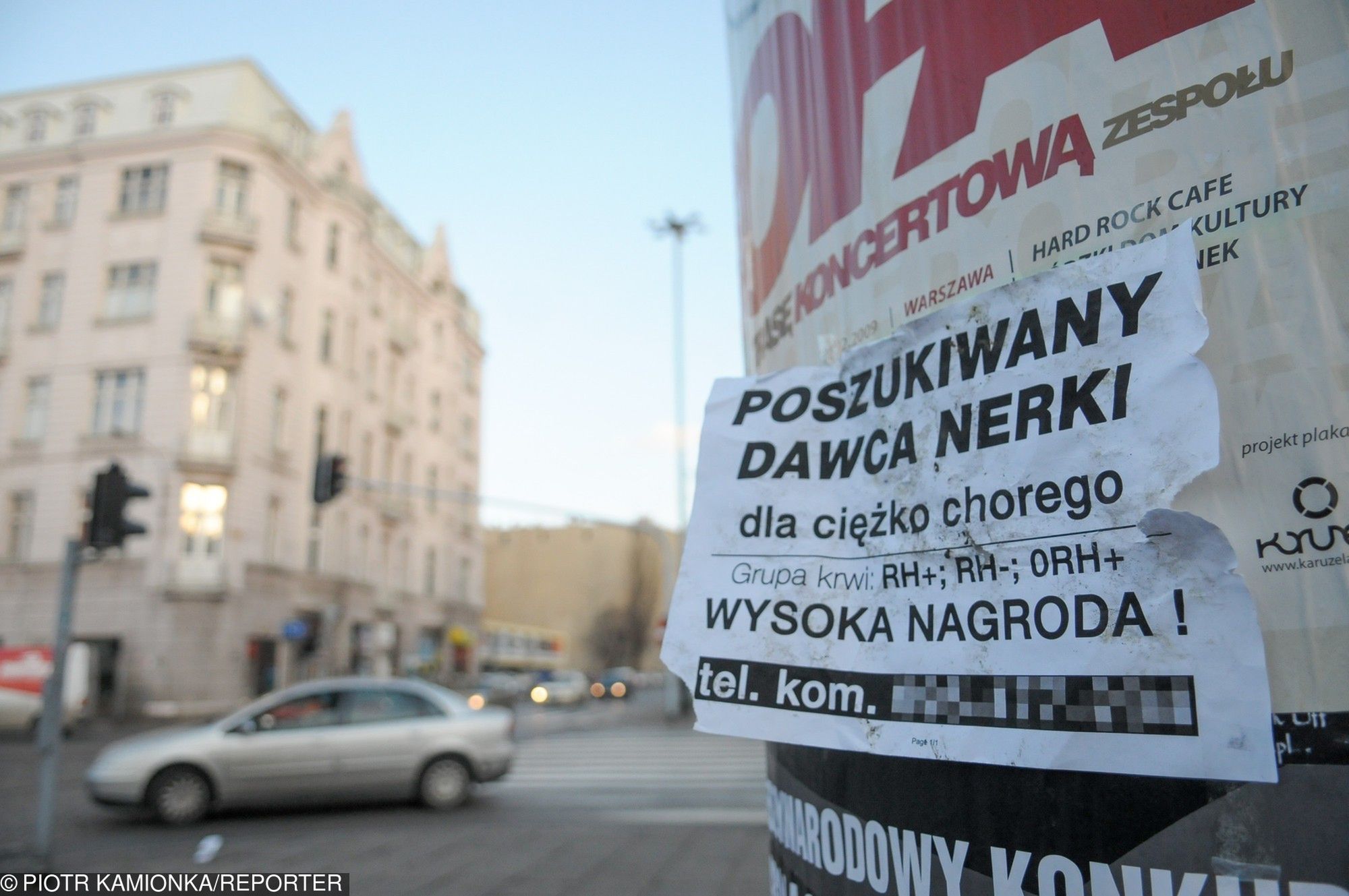 Handel organami jest w Polsce zabroniony