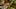 Fable Heroes: 10 minut radosnego wyrzynania przeciwników ze znajomymi