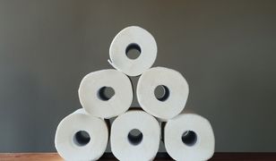 Koronawirus. Polacy w internecie wyszukują informacji o papierze toaletowym i końcu świata
