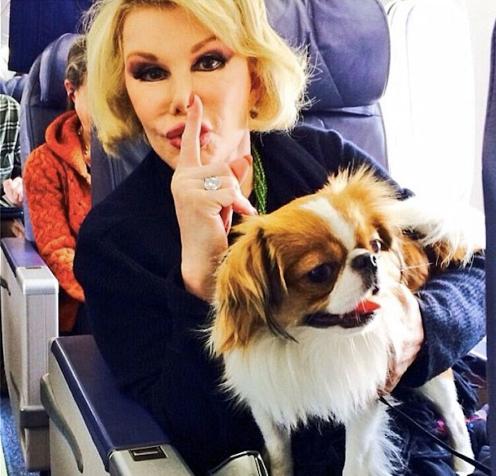 Joan Rivers 

Fotografia: screen z Instagram.com