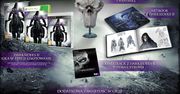 Możecie być spokojni o Darksiders 2 i inne gry THQ. Ich wydaniem w Polsce zajmie się Cenega