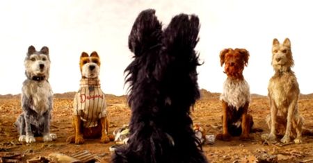 Wes Anderson prezentuje zwiastun najnowszego, psiego filmu. Zapowiada się kolejna produkcja na wysokim poziomie