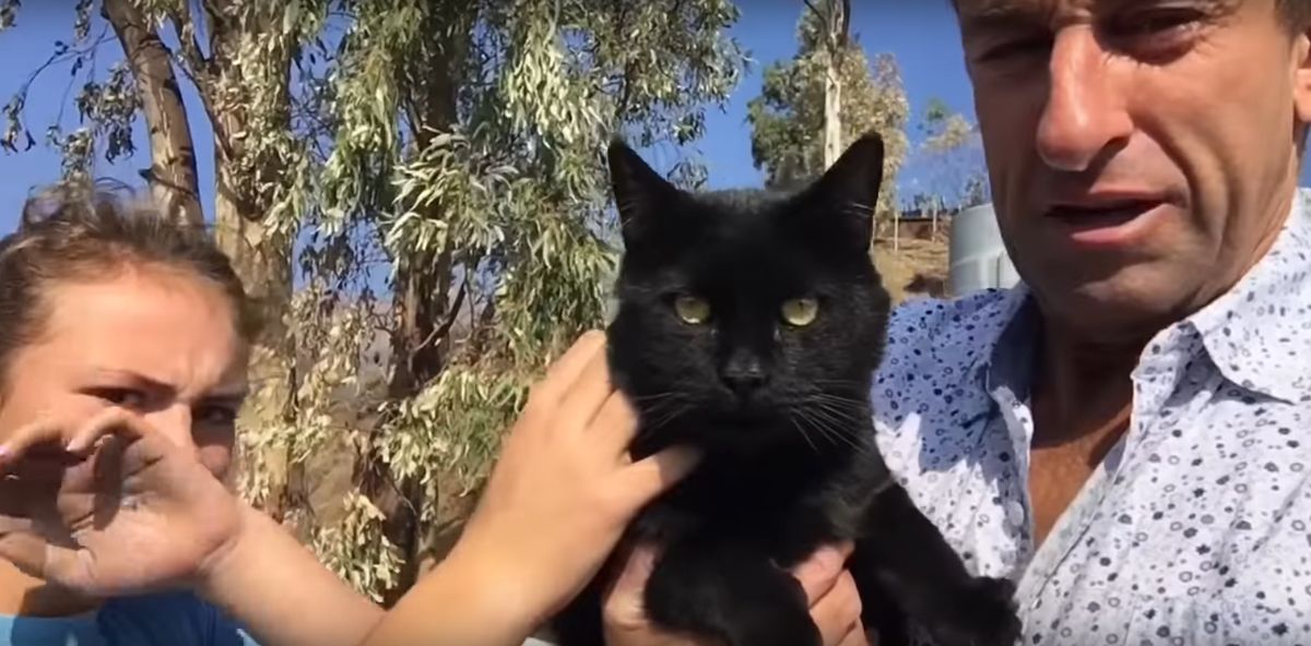 Youtuber stracił dom w kalifornijskim pożarze Camp Fire. Jego kot przetrwał kataklizm