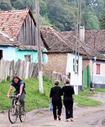 Rolnicy będą mogli ubiegać się o kredyty preferencyjne