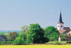 Organista sterroryzował polską wieś