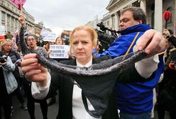 Irlandia: Masowy protest kobiet. Pokazują swoją bieliznę. Solidaryzują się ze zgwałconą nastolatką