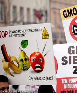 "Wolne od GMO". Będzie nowe oznakowanie produktów w sklepach