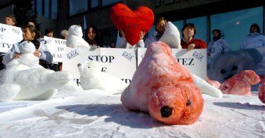 Protest przeciwko zabijaniu fok