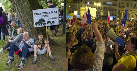 Kuriozalny wpis ministerstwa. Oto, co wg nich łączy protesty ws. sądów i ws. puszczy