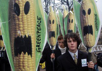 Greenpeace przeciwko organizmom modyfikowanym genetycznie