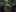 Trailer anulowanego Space Quest z PS2 i Xboxa
