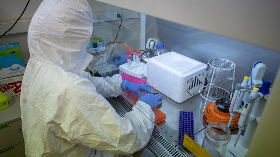 Rusza produkcja polskich testów na koronawirusa opracowanych przez naukowców z Instytutu Chemii Bioorganicznej Polskiej Akademii Nauk w Poznaniu