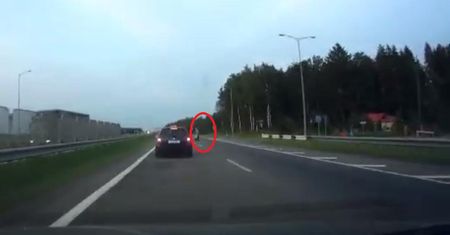 Zatrzymała ruch na autostradzie. Postanowiła pospacerować