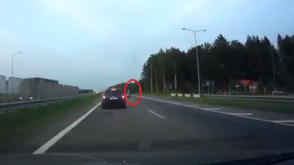 Spacerowała po autostradzie.