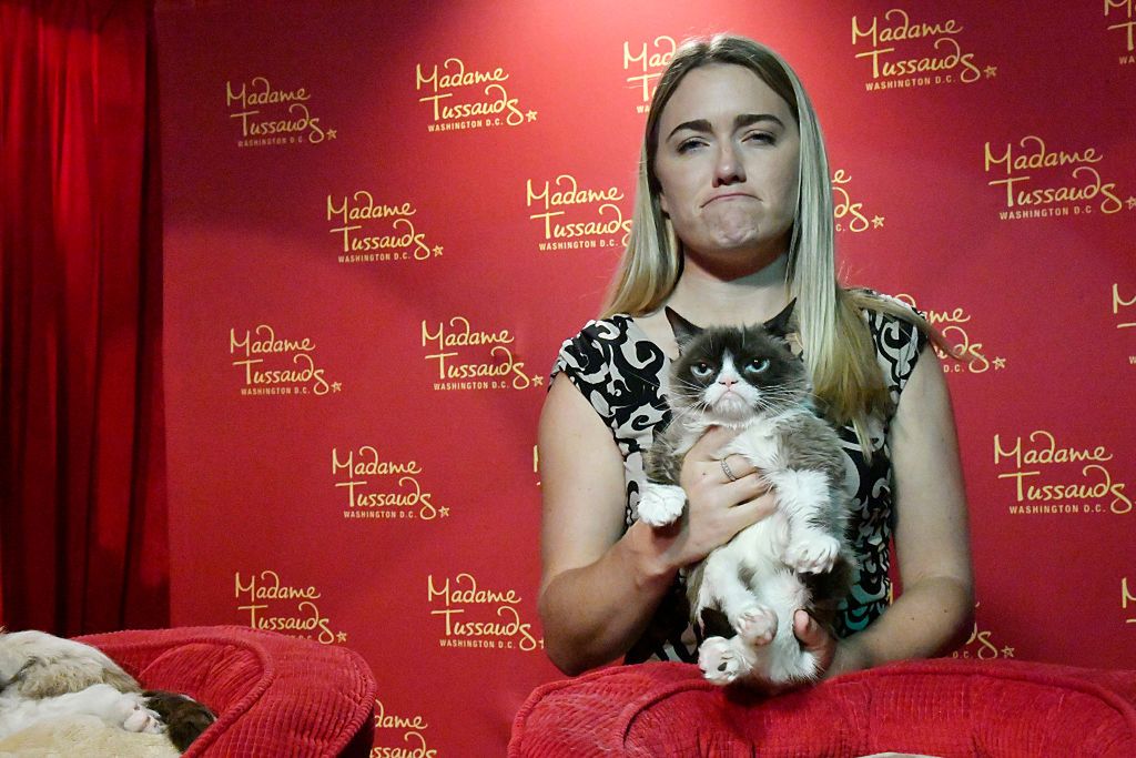 Tabatha Bundesen i Tadar Sauce, czyli Grumpy Cat