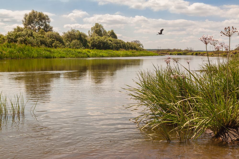 Polesie – magiczna kraina tuż za granicą