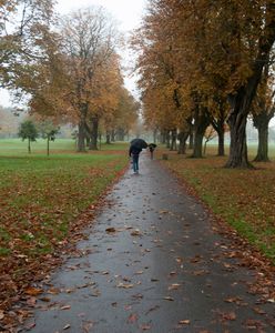 Deszcz, mgła i wichury. Zobacz, co nas czeka w pogodzie w przyszłym tygodniu